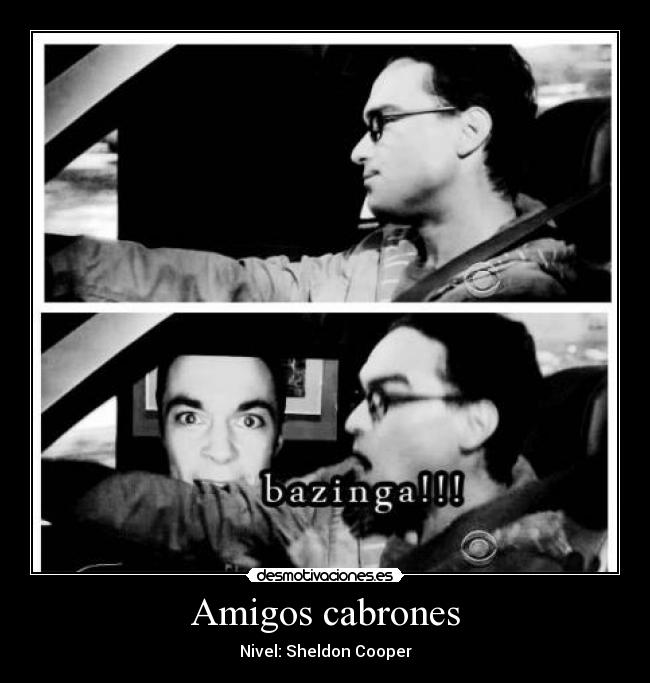 carteles amigos amigos cabrones nivel sheldon leonard cooper the big bang theory bazinga desmotivaciones
