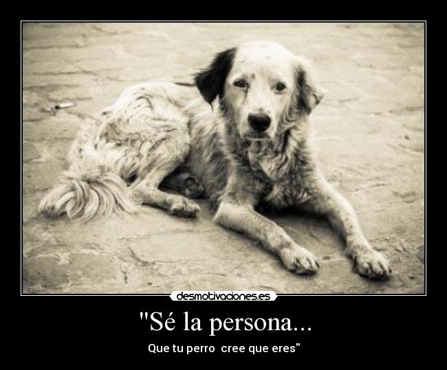 Sé la persona... - Que tu perro  cree que eres