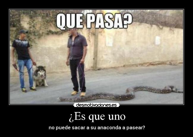 ¿Es que uno - no puede sacar a su anaconda a pasear?