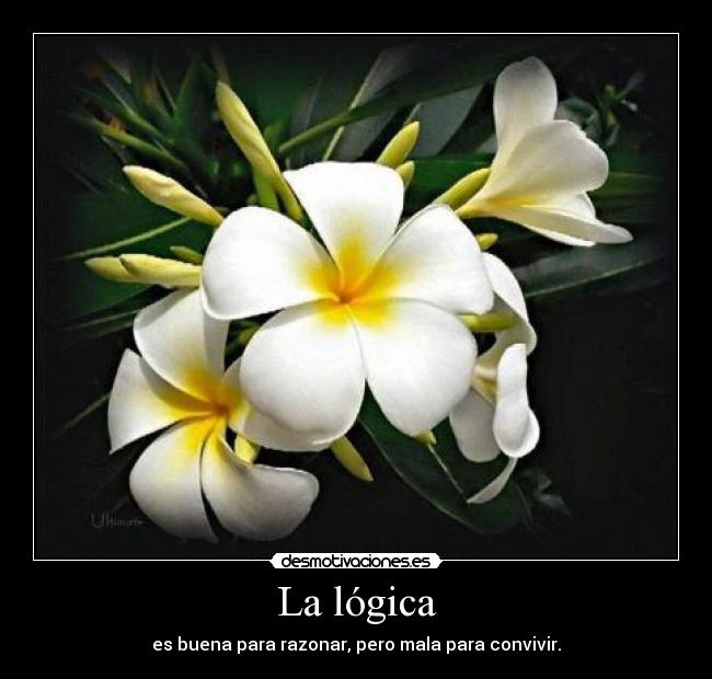 La lógica -