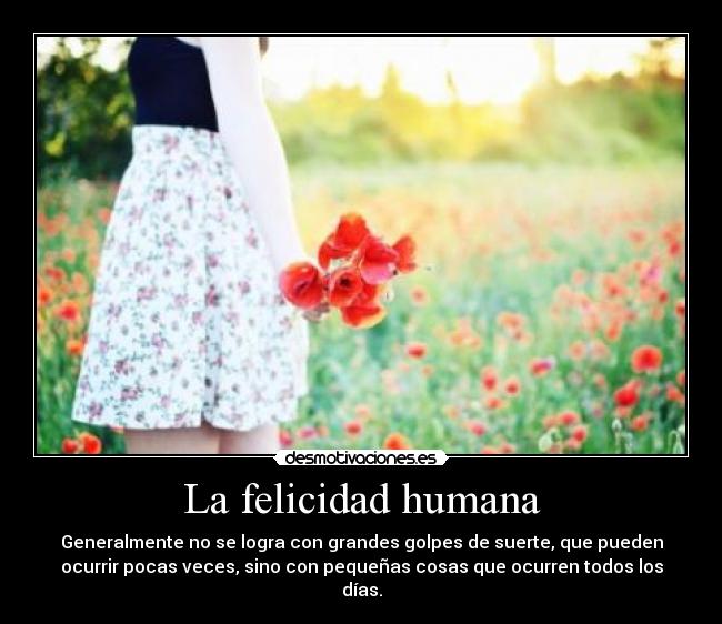 carteles felicidad felicidad humana desmotivaciones