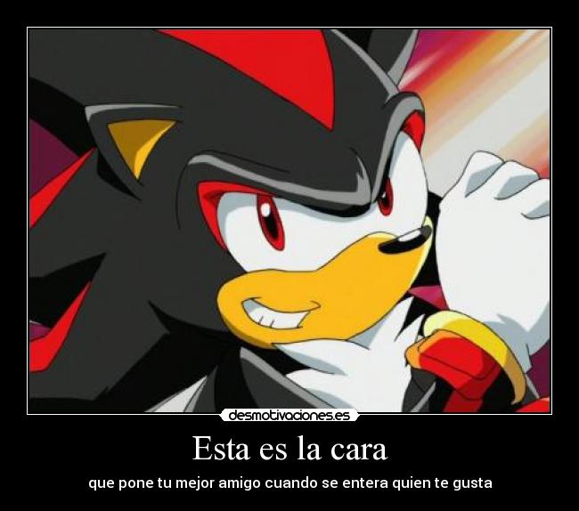 carteles shadow the hedgehdog desmotivaciones