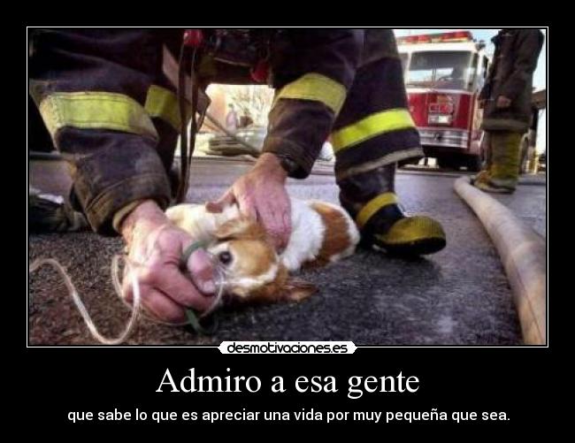 Admiro a esa gente - que sabe lo que es apreciar una vida por muy pequeña que sea.
