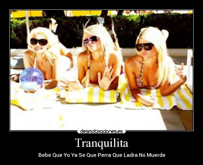 Tranquilita - Bebe Que Yo Ya Se Que Perra Que Ladra No Muerde