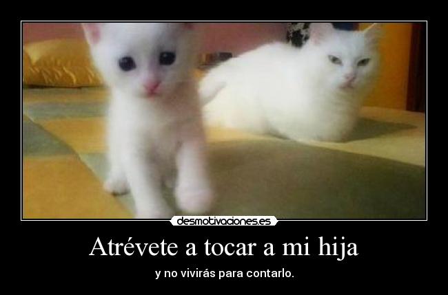 carteles jtcr desmotivaciones