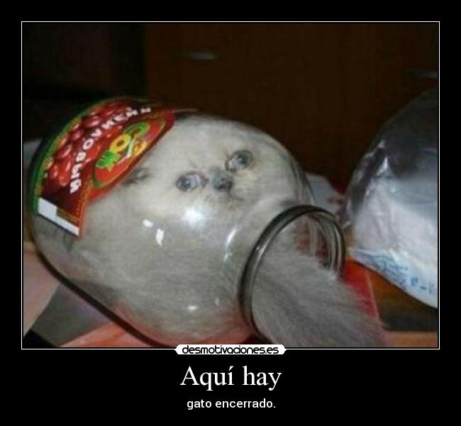 Aquí hay - 