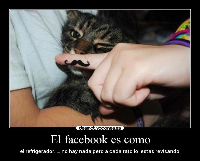 El facebook es como - el refrigerador..... no hay nada pero a cada rato lo estas revisando.