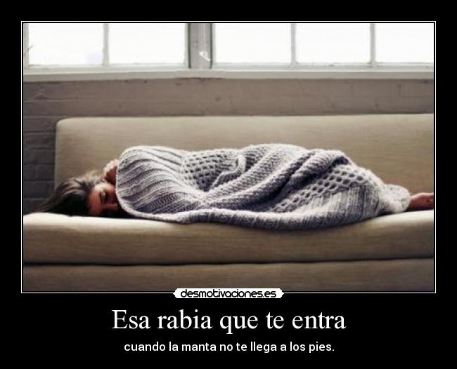 carteles soy pies frios manos frias cabeza fria sangre fria pero sudo como tete gimnasio desmotivaciones