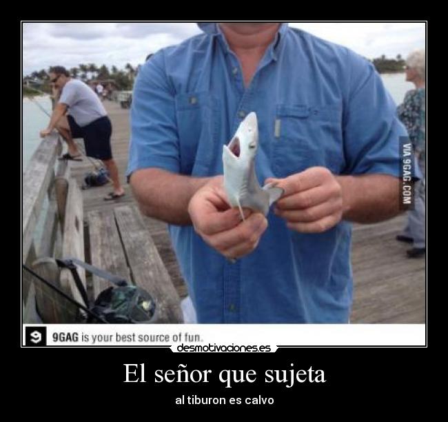 El señor que sujeta - al tiburon es calvo