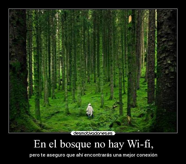 carteles wifi bosque conexion desmotivaciones