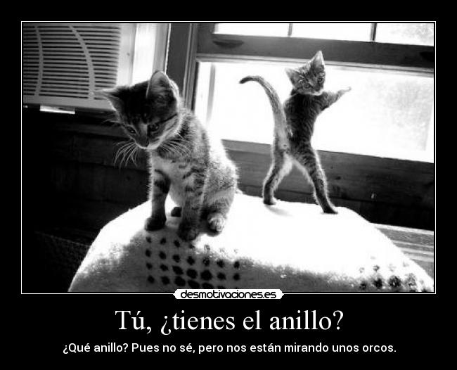 Tú, ¿tienes el anillo? - ¿Qué anillo? Pues no sé, pero nos están mirando unos orcos.