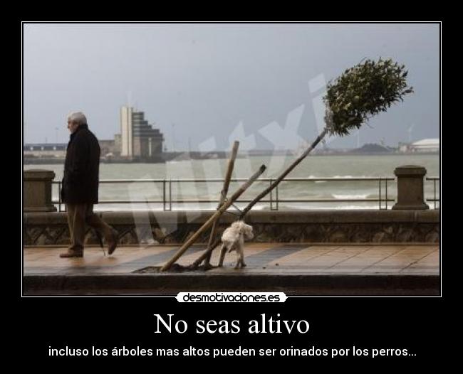 No seas altivo - incluso los árboles mas altos pueden ser orinados por los perros...