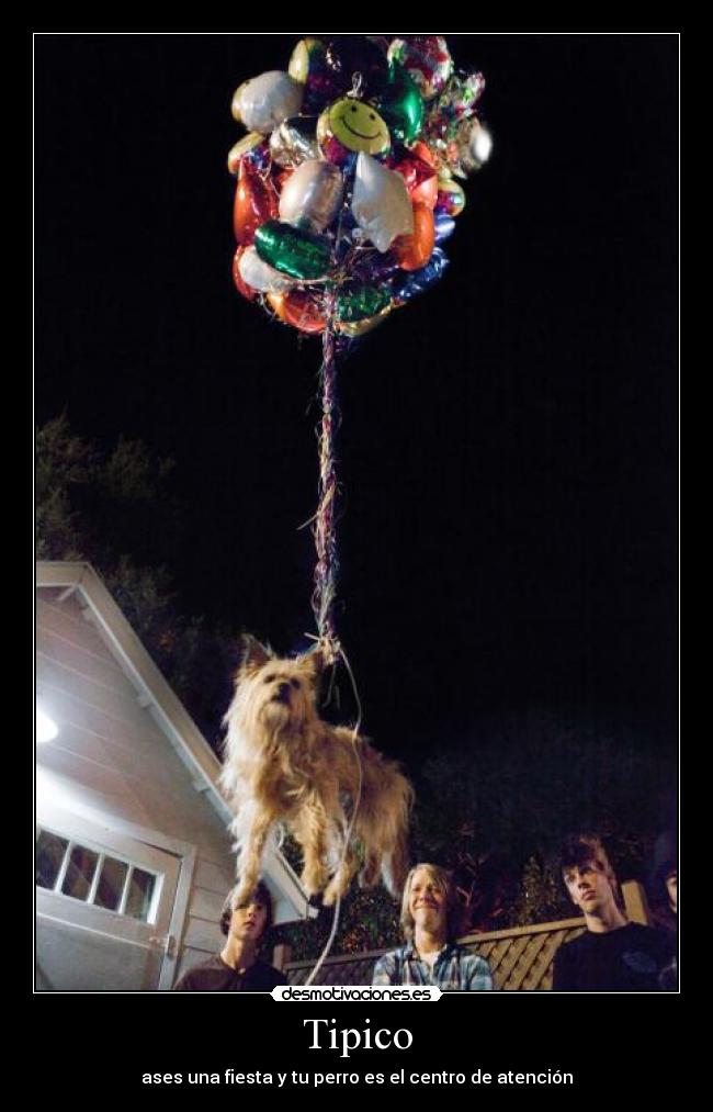 carteles perro fiesta desmotivaciones