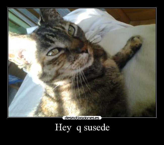 Hey  q susede - 