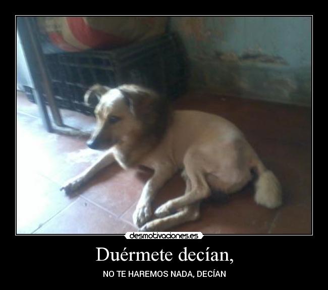 Duérmete decían, - NO TE HAREMOS NADA, DECÍAN