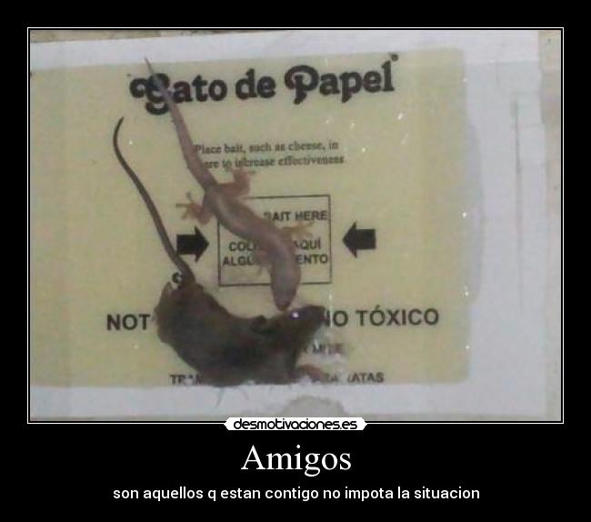 Amigos - son aquellos q estan contigo no impota la situacion