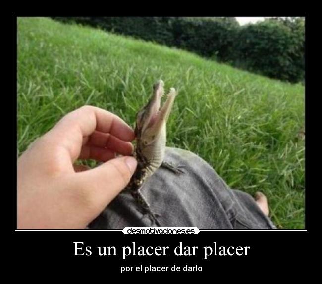 Es un placer dar placer - por el placer de darlo