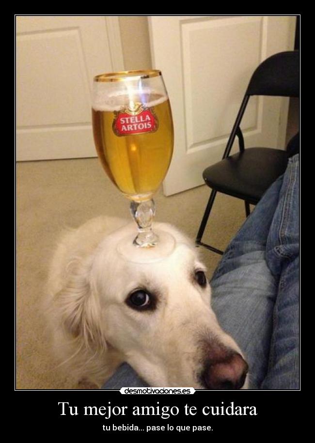 carteles fsfsfs desmotivaciones