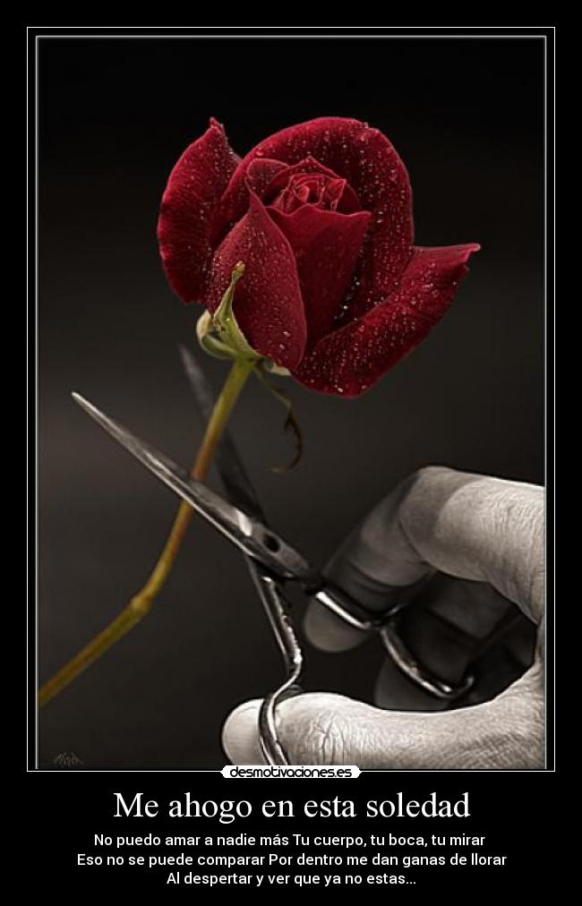 Usuario Peedriitho Desmotivaciones