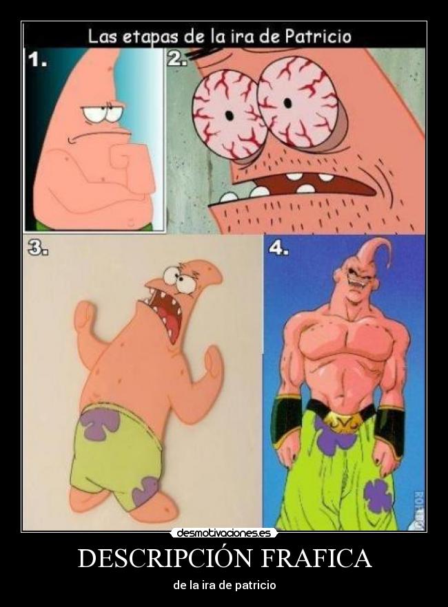 DESCRIPCIÓN FRAFICA - de la ira de patricio