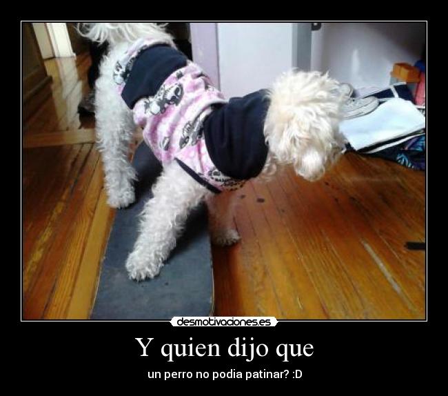 carteles fria00 desmotivaciones