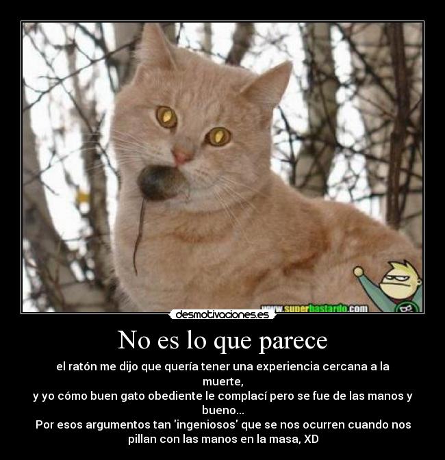 carteles comida desmotivaciones