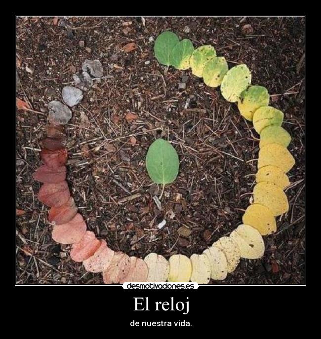 El reloj - de nuestra vida.