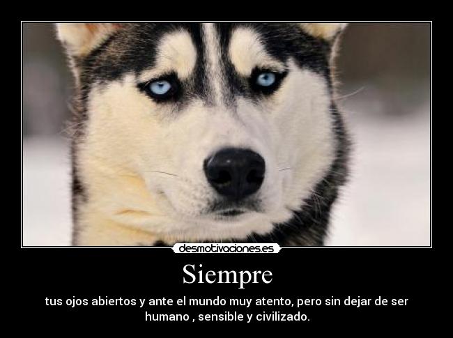 Siempre - tus ojos abiertos y ante el mundo muy atento, pero sin dejar de ser
humano , sensible y civilizado.