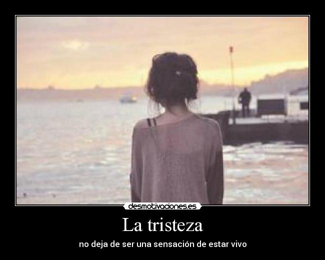 carteles tristeza tristezaaa desmotivaciones