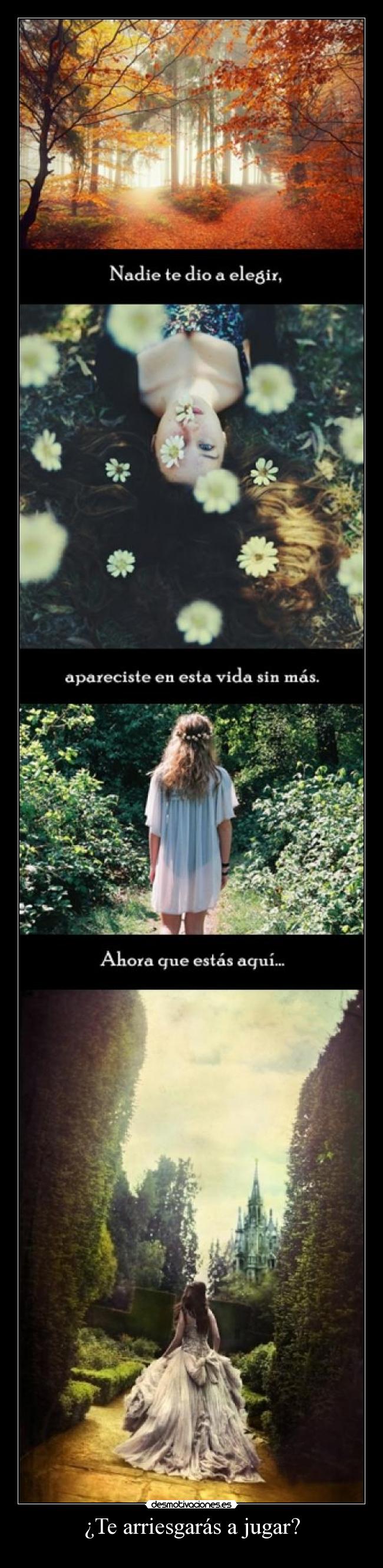 ¿Te arriesgarás a jugar? -