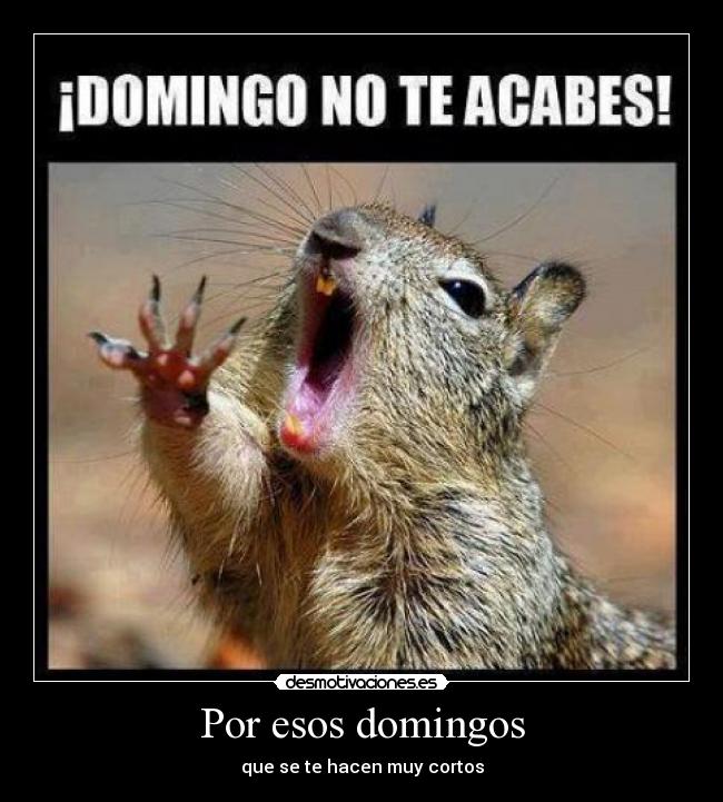 Por esos domingos - que se te hacen muy cortos