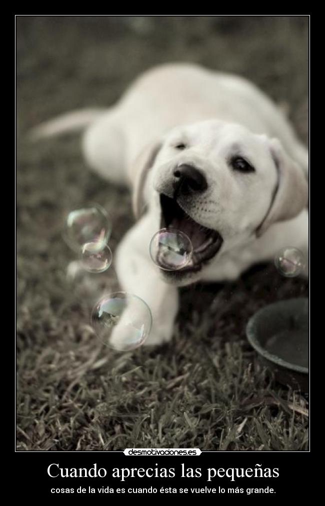 Cuando aprecias las pequeñas -