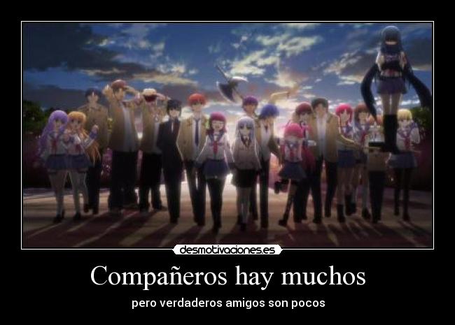 Compañeros hay muchos - 