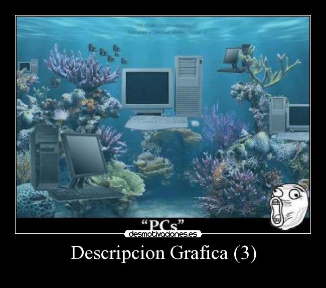 Descripcion Grafica (3) -