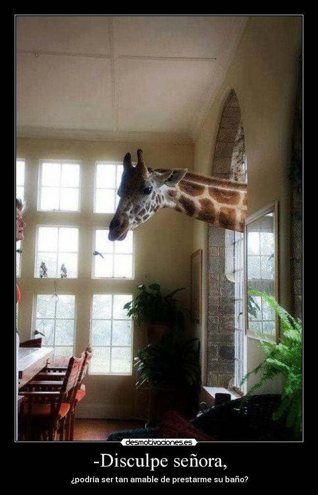 -Disculpe señora, - 