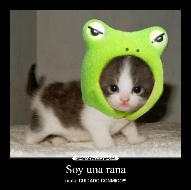 Soy una rana - mala. CUIDADO CONMIGO!!!
