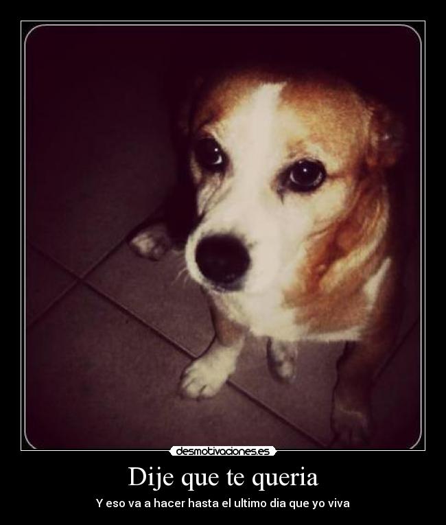 Dije que te queria -