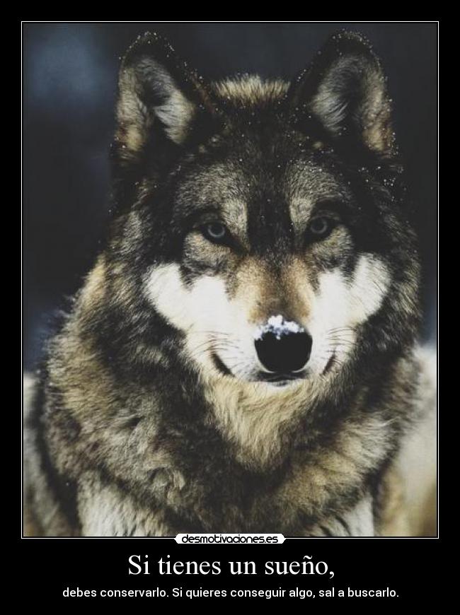 Si tienes un sueño, - 