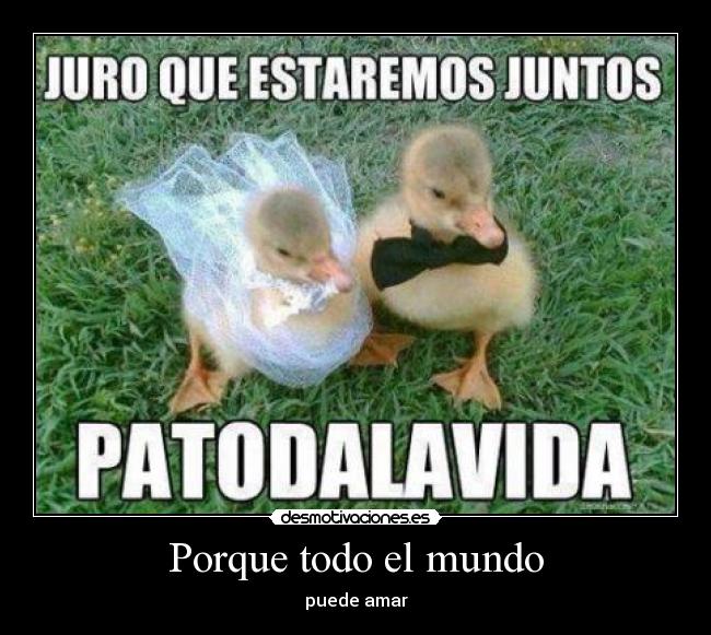 Porque todo el mundo -
