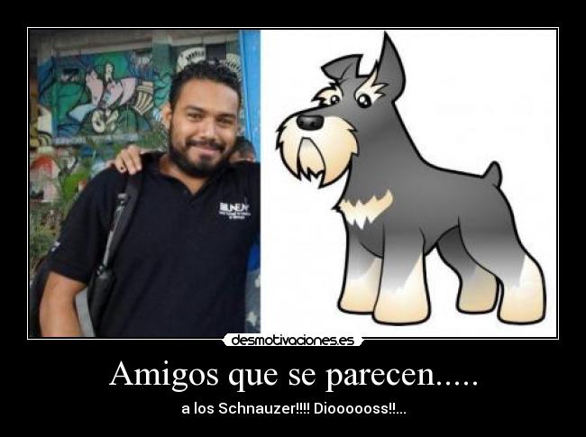 carteles amigos ami8ghos desmotivaciones