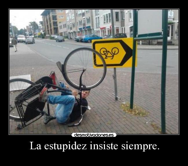 La estupidez insiste siempre. -