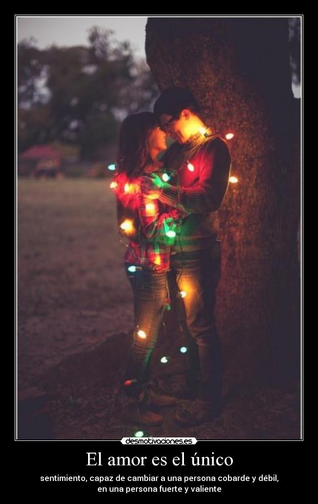 El amor es el único -