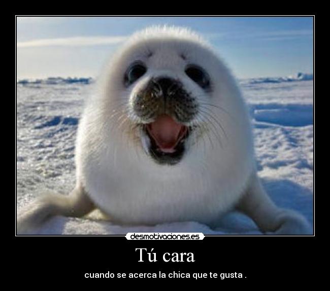 Tú cara - cuando se acerca la chica que te gusta .
