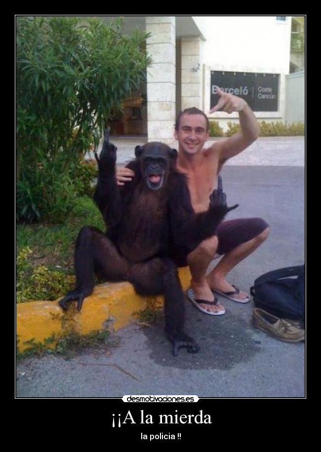 ¡¡A la mierda - la policia !!