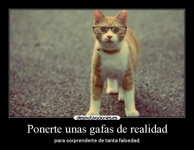 Ponerte unas gafas de realidad - para sorprenderte de tanta falsedad.