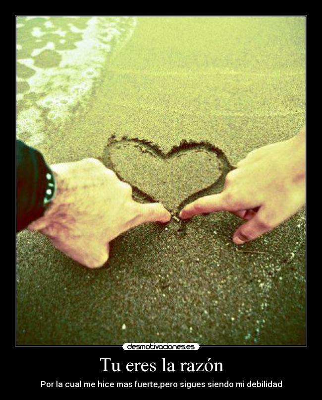 Tu eres la razón - 