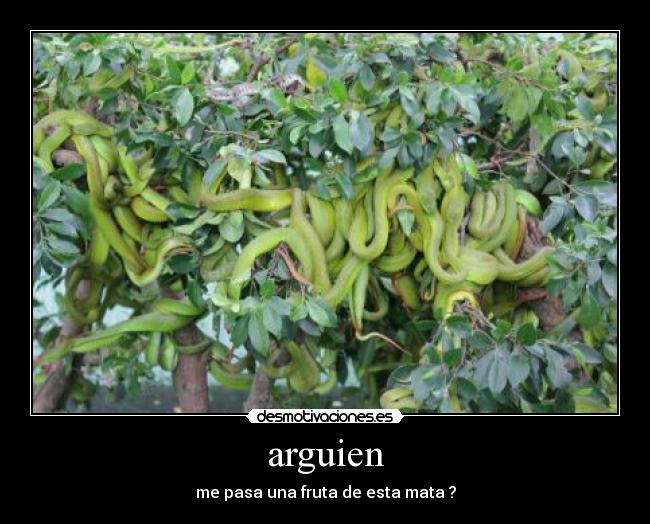 arguien -