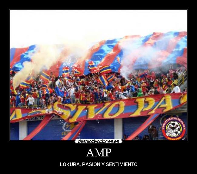 AMP - LOKURA, PASION Y SENTIMIENTO