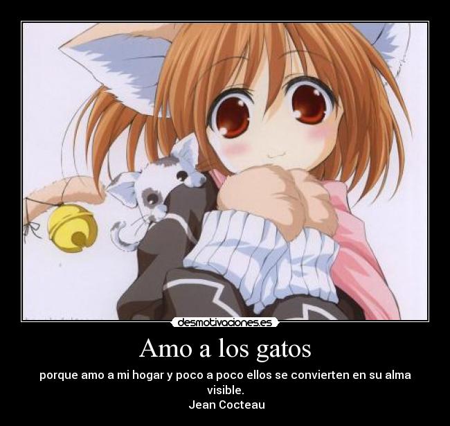 carteles gatos gatos desmotivaciones