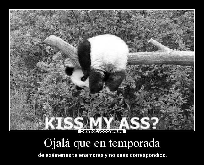 Ojalá que en temporada - de exámenes te enamores y no seas correspondido.